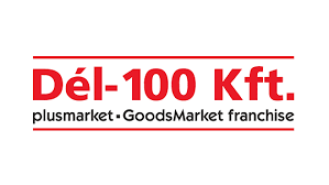 Dél-100 Kft